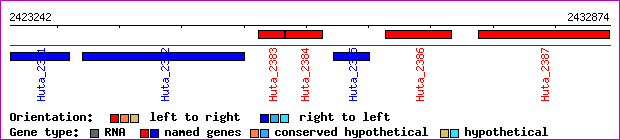 gene map