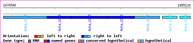 gene map