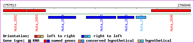gene map