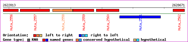 gene map