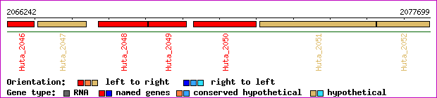 gene map