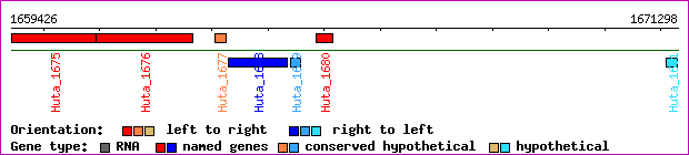 gene map