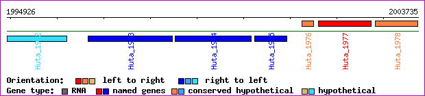 gene map