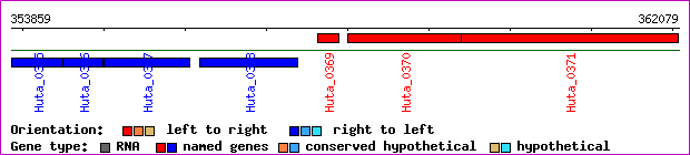 gene map
