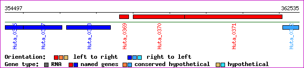 gene map