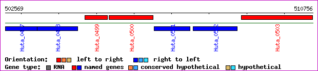 gene map