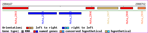gene map