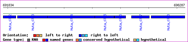 gene map