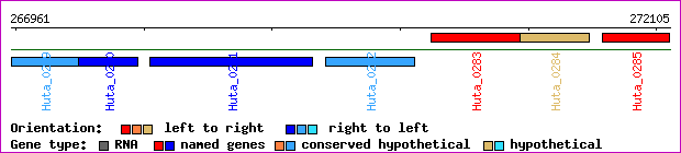 gene map