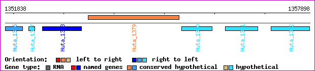 gene map