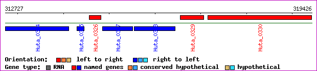 gene map