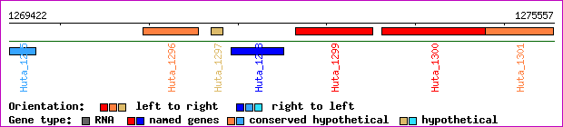 gene map