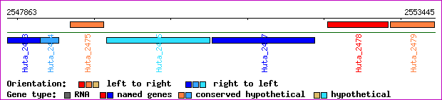 gene map