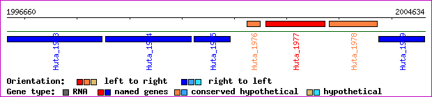 gene map