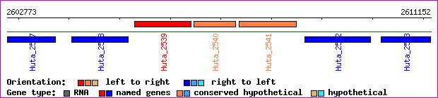 gene map