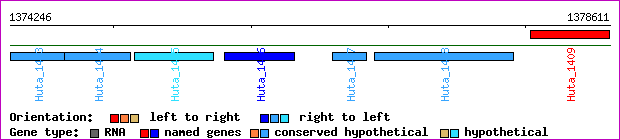 gene map