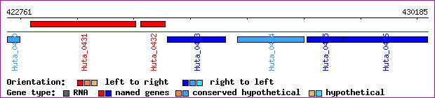 gene map