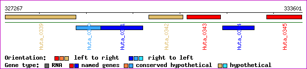 gene map
