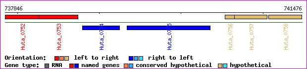 gene map