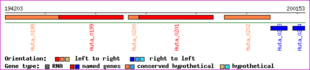 gene map