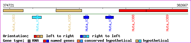 gene map