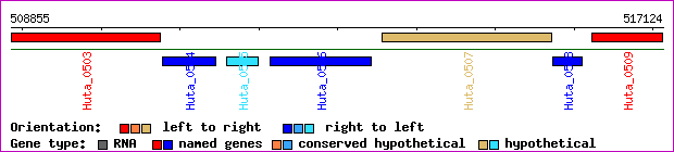 gene map