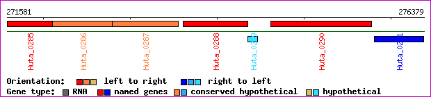 gene map