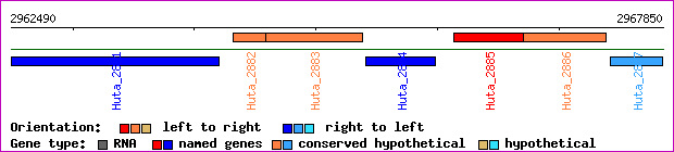 gene map