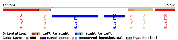 gene map