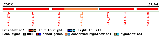 gene map