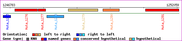 gene map