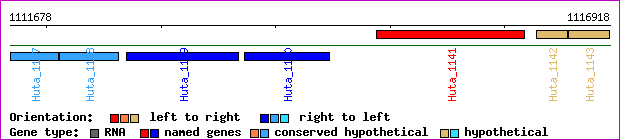 gene map