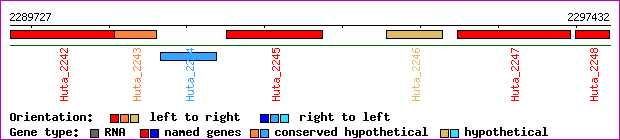 gene map
