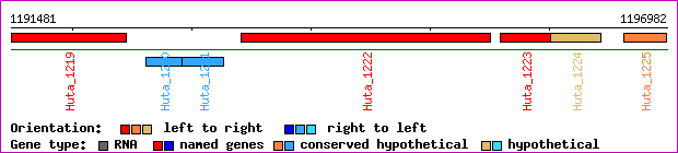 gene map