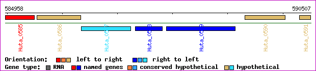 gene map