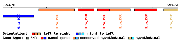 gene map