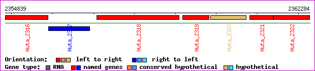 gene map