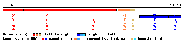 gene map