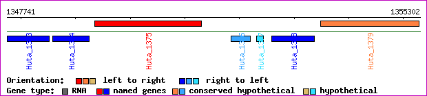 gene map