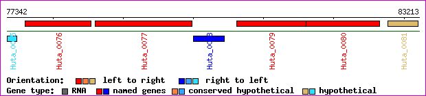 gene map
