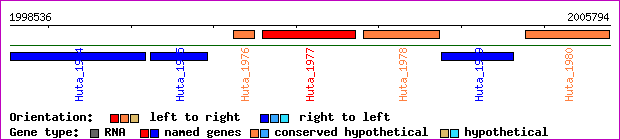 gene map