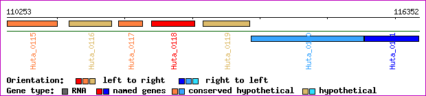 gene map