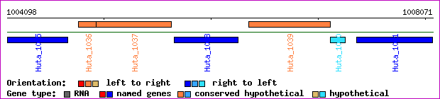 gene map