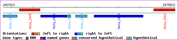 gene map