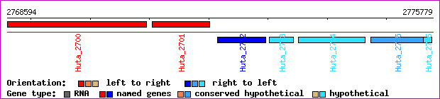 gene map