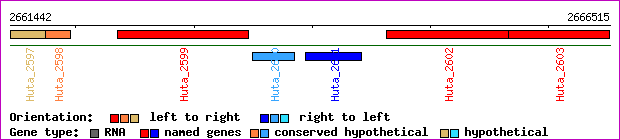 gene map