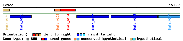 gene map