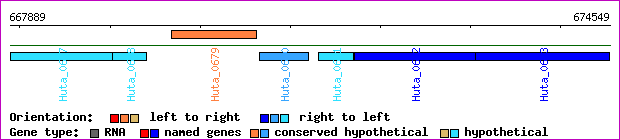 gene map