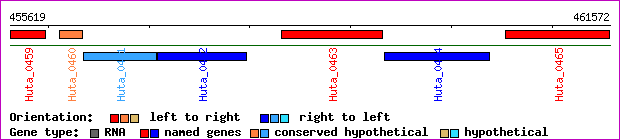 gene map