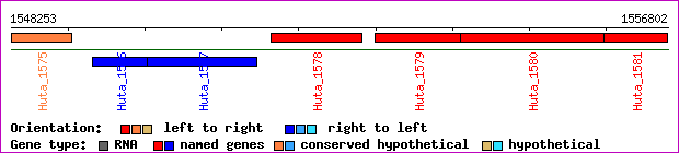 gene map